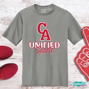 CA Unified Performance T